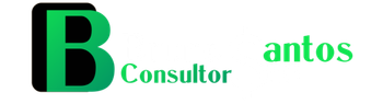 bruno santos consultor seo logo (2)